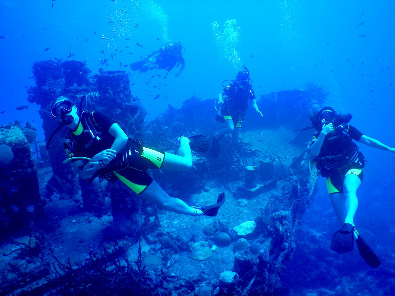 Four divers posing over a coral-covered wreck