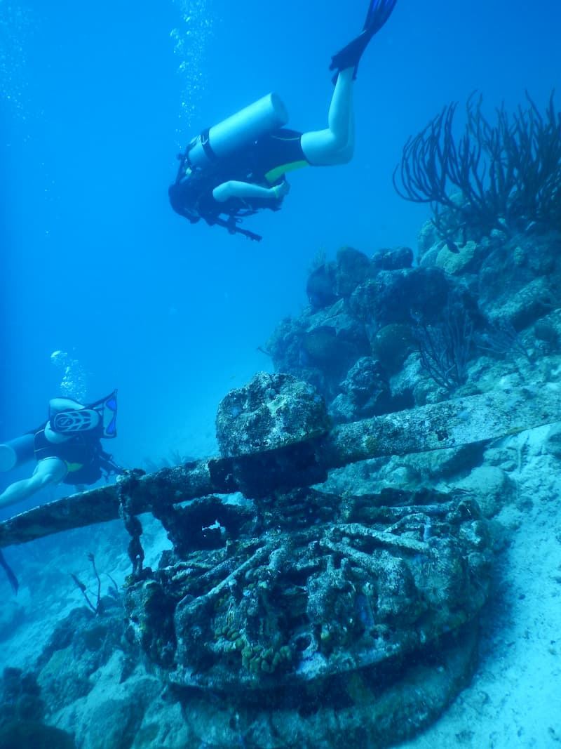 Marine life at Arashi Reef