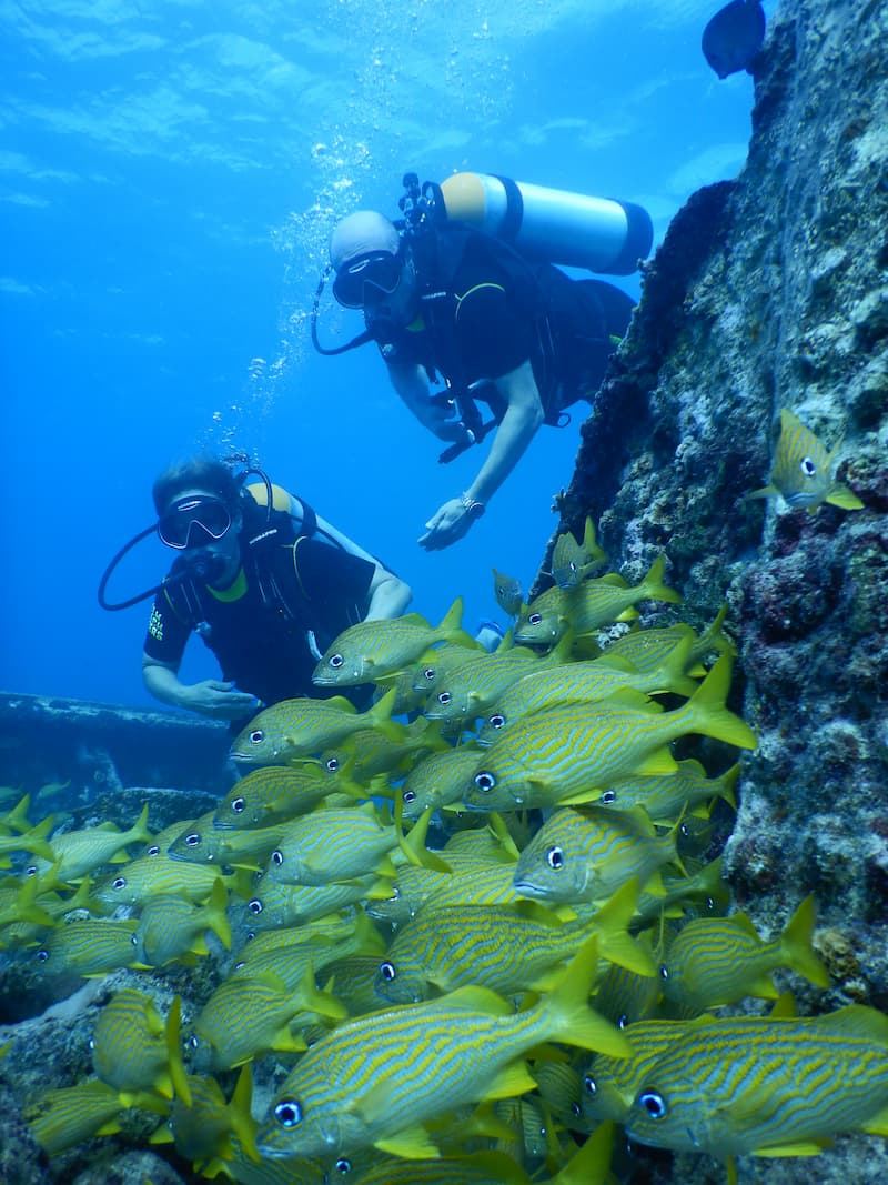 The Pedernales wreck underwater