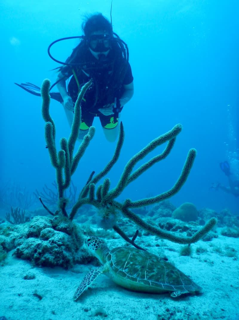Arashi Reef