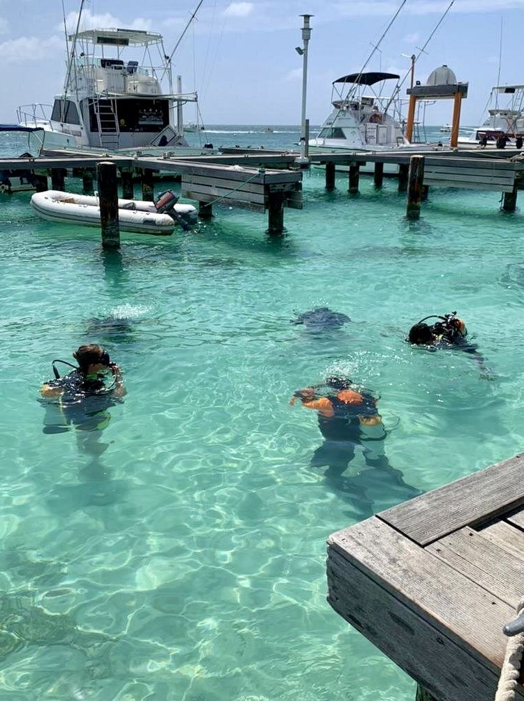 Refresher course in calm, clear water by the pier